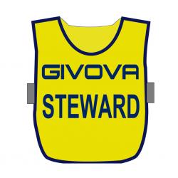 ct06_steward